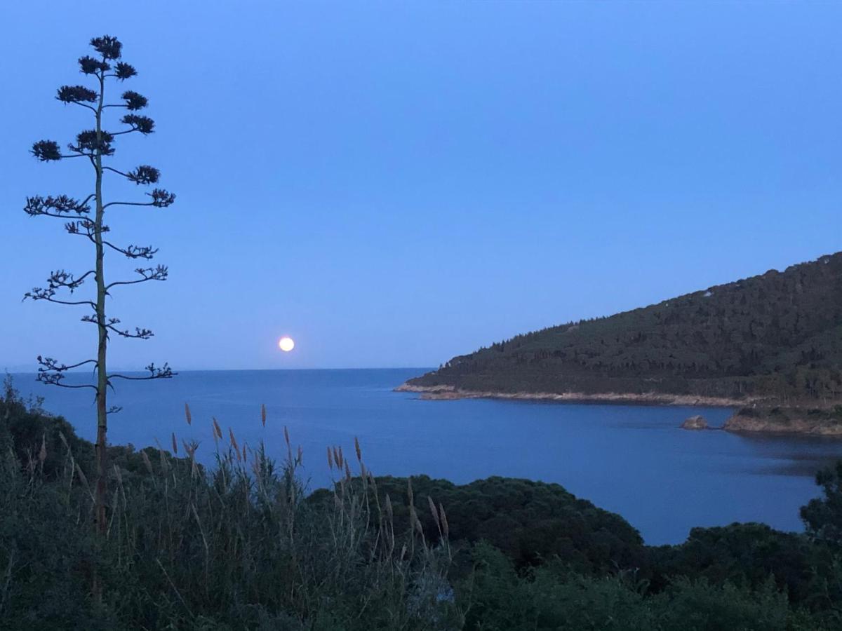 Case Dei Limoni Sul Mare Capoliveri  Zewnętrze zdjęcie
