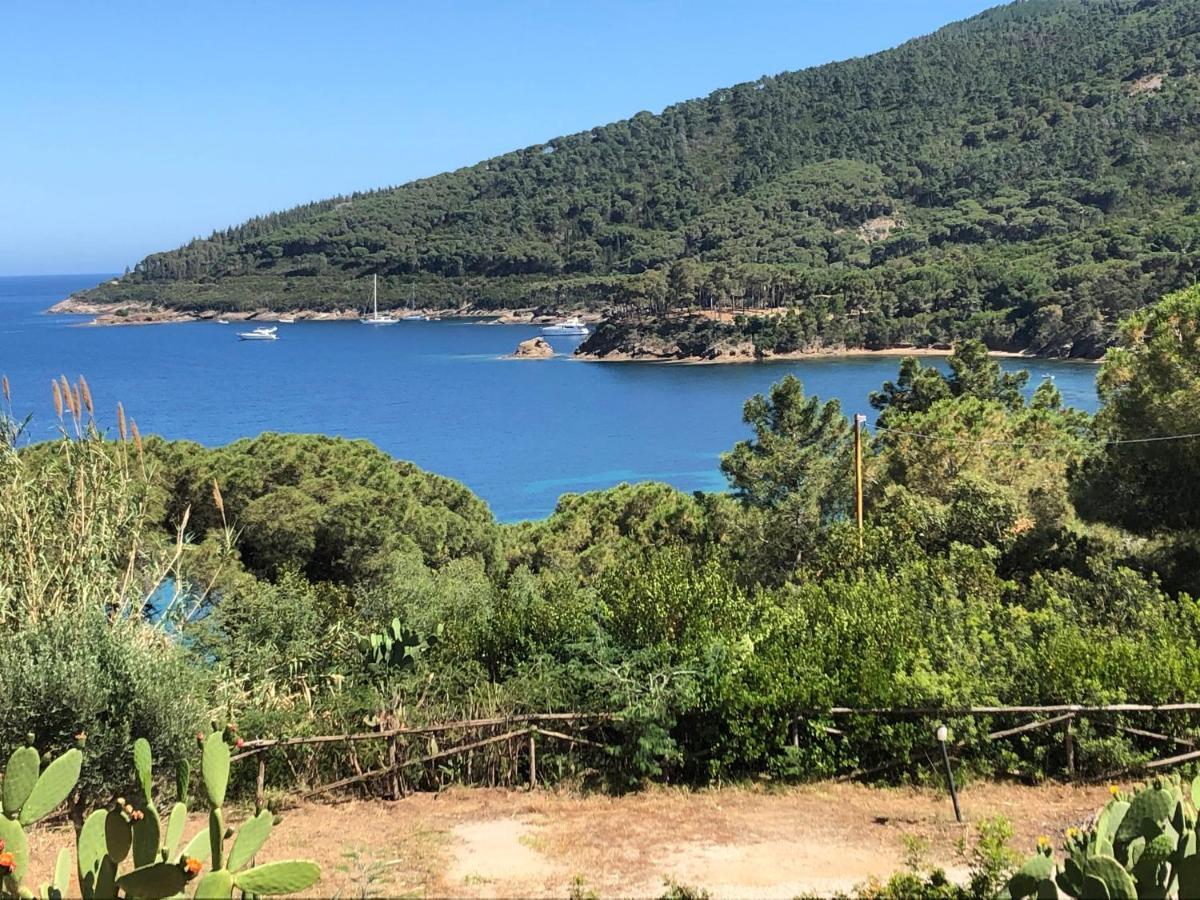 Case Dei Limoni Sul Mare Capoliveri  Zewnętrze zdjęcie