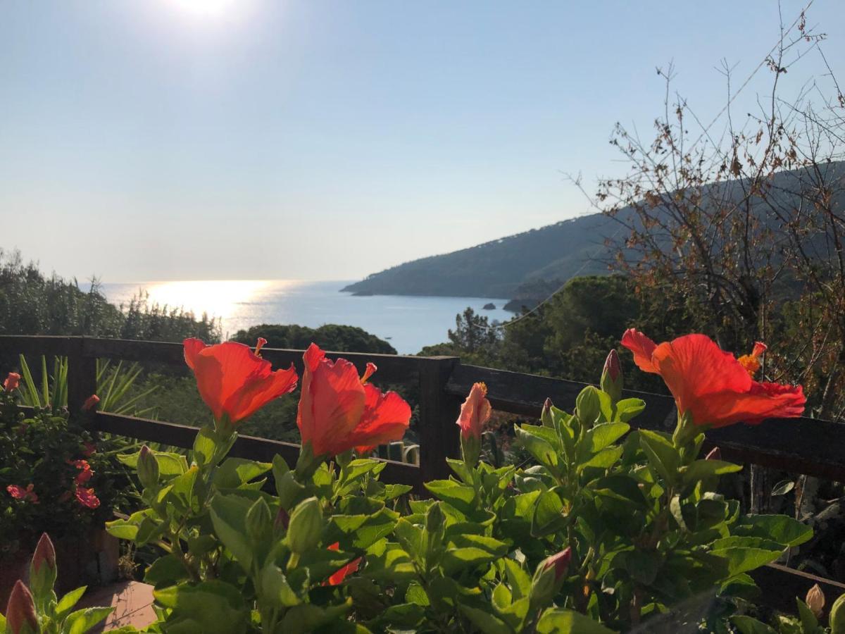 Case Dei Limoni Sul Mare Capoliveri  Zewnętrze zdjęcie