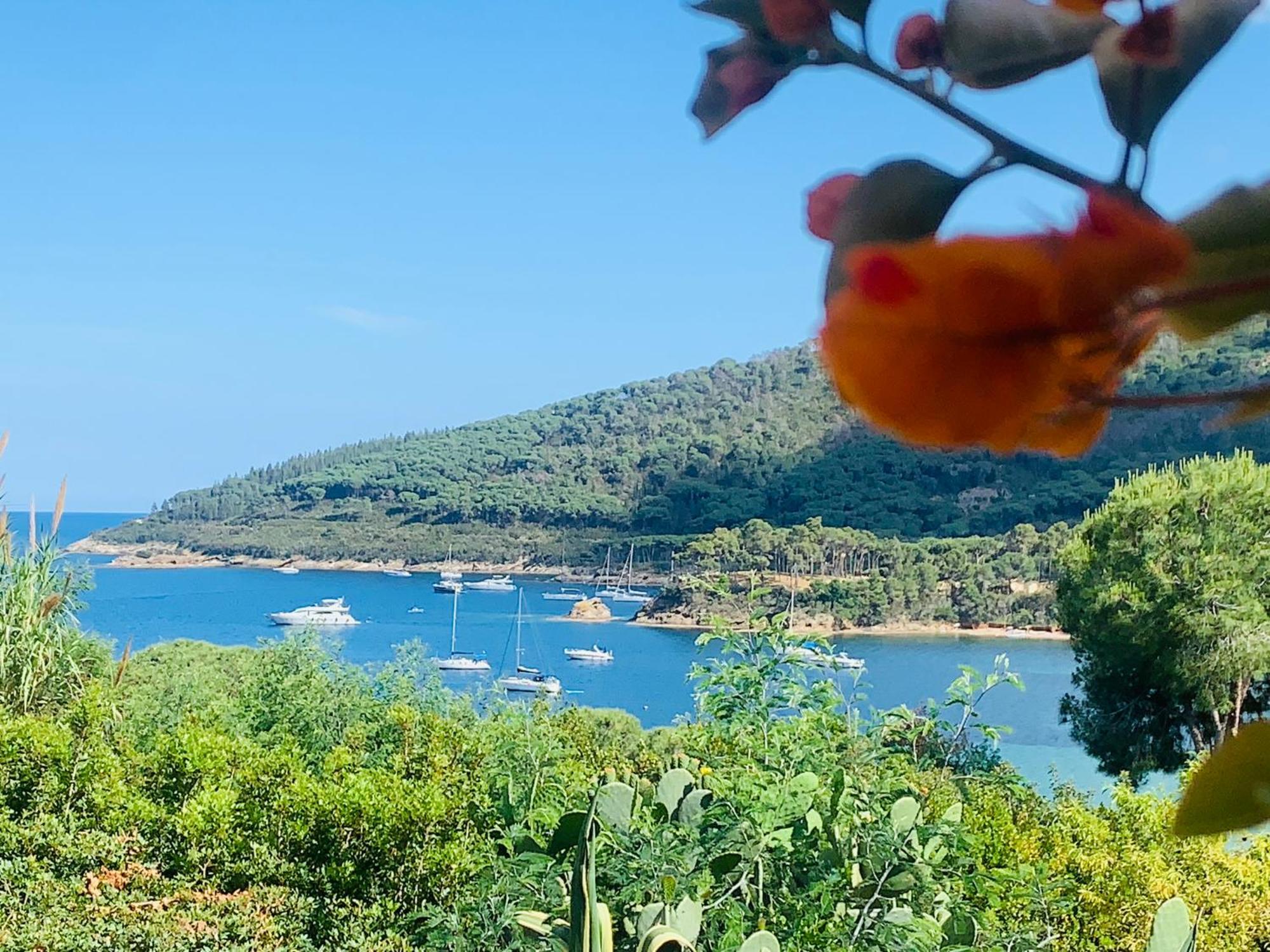 Case Dei Limoni Sul Mare Capoliveri  Zewnętrze zdjęcie